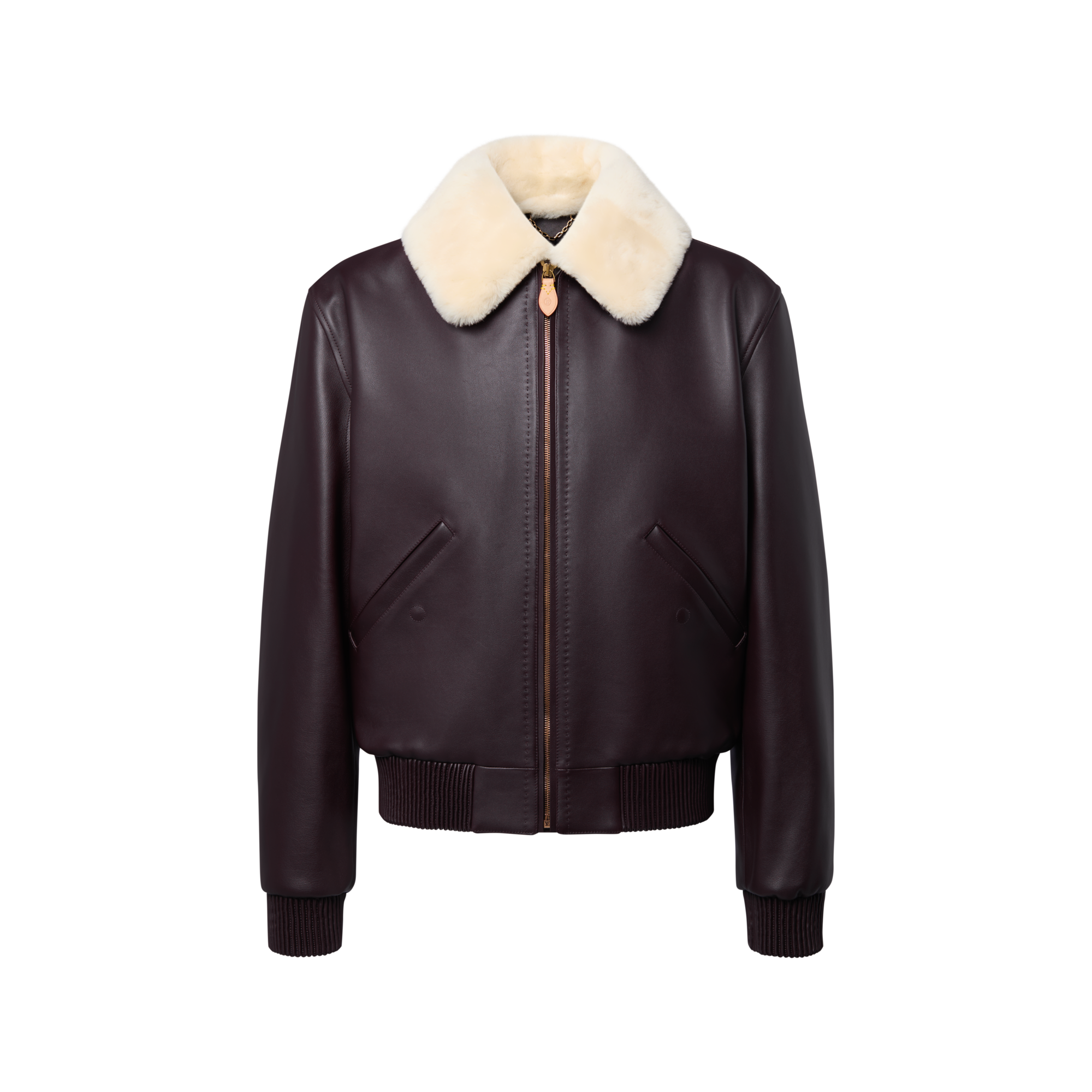 Leather Blouson With Shearling Collar - Men - Ready-to-Wear